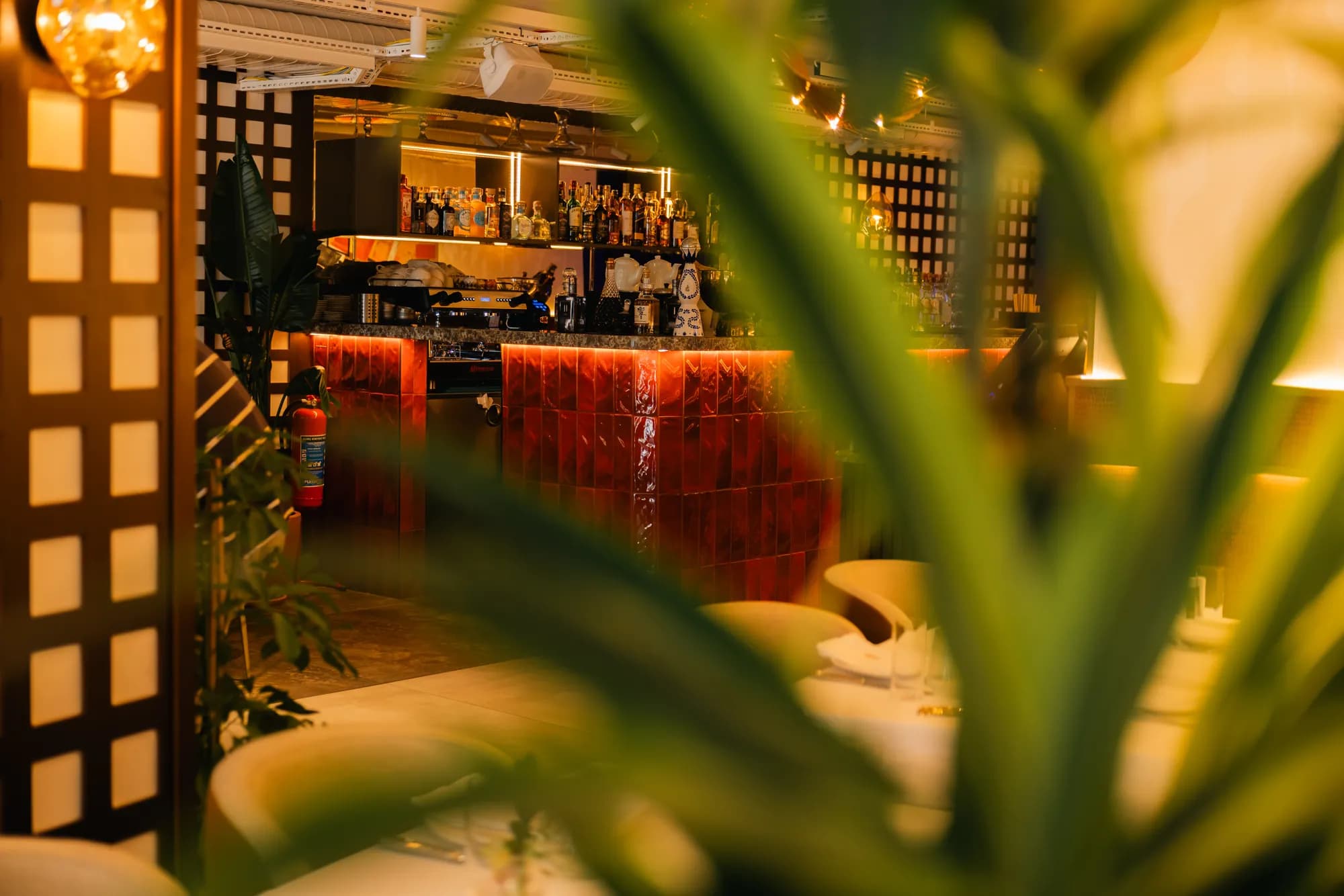 Yaprakların arasından bar: şişe rafı ve ışıklı tezgâh